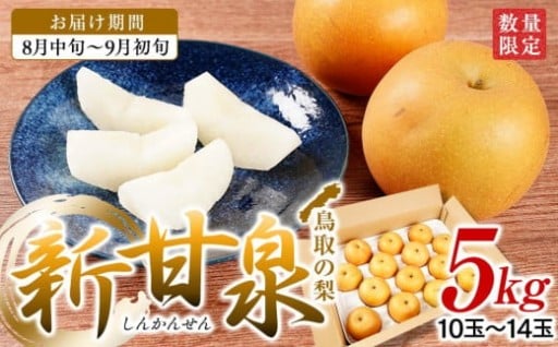 【人気返礼品・リピート多数】梨 新甘泉梨 5kg ( 5kg × 1箱 )