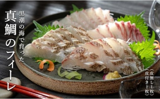鮮度抜群！朝獲った鯛をその日に発送！「養殖真鯛のフィーレ」