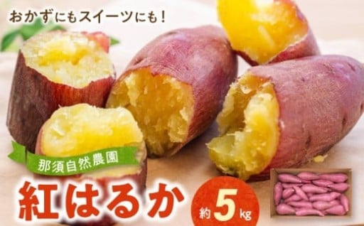 ＼🍠✨おいしい季節がやってきた！！『紅はるか』宇土市産！！✨🍠／