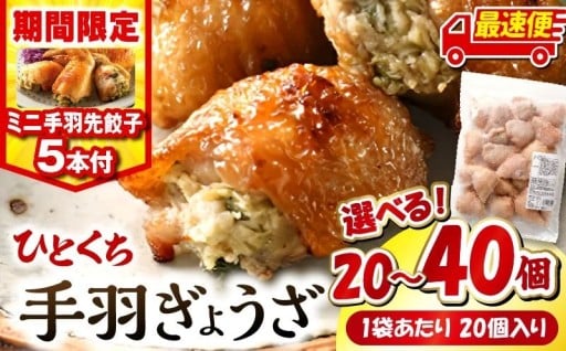 【宮崎県宮崎市】🥟ひとくち 手羽ぎょうざ🥟