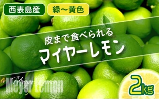 極めて希少な国産マイヤーレモン！