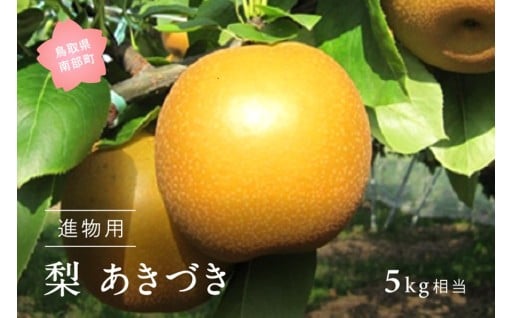 【あきづき[梨](進物用5kg箱)】をお届けいたします！