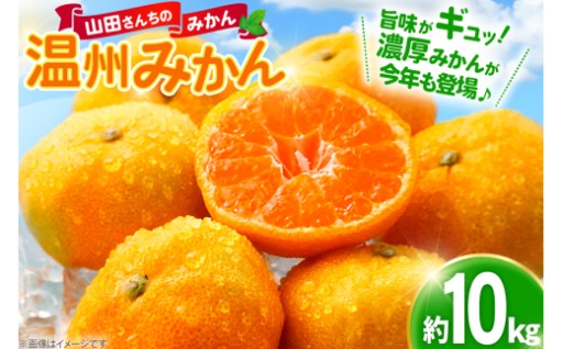 甘み凝縮！山田さんちの濃厚みかん
