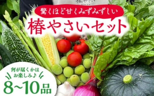 何が届くかはお楽しみ 椿やさいの野菜セットです。