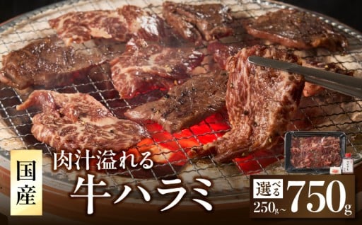 「京都人気焼肉店」貴重！肉汁溢れる 国産牛ハラミ 選べる250g～750g
