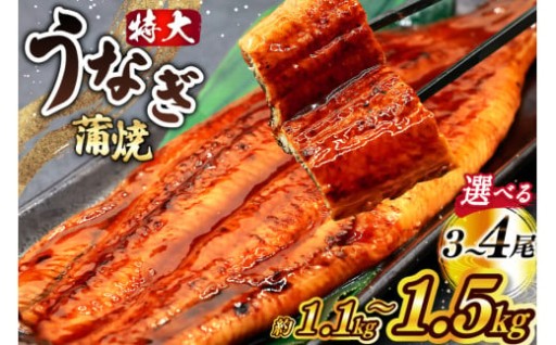 うなぎ革命、ここに。秘伝の技×極上タレ