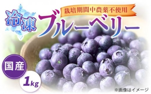 太陽の光をたっぷり浴びた、国産ブルーベリー。