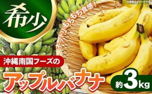 【国産 希少種！】南国フーズのアップルバナナ 約3kg