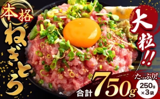 大人気！ねぎとろ 750g（250g×3袋） 清幸丸水産