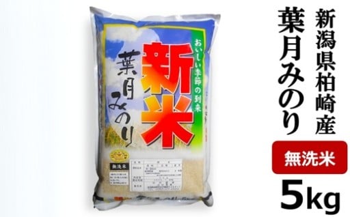 NEW【R7年産新米】葉月みのり 無洗米5kg