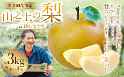 《先行予約》山之上の梨 （品種はおまかせ） 約3kg （5～8玉）