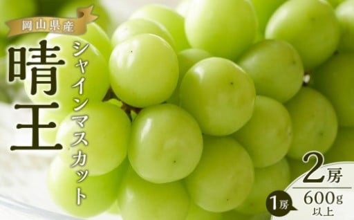 ぶどう 2025年 先行予約 シャイン マスカット 晴王 2房（1房600g以上）
