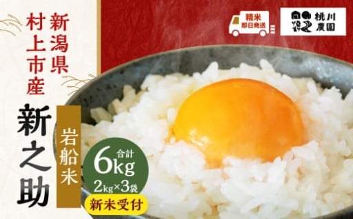 【新米受付・令和7年産米】新潟県村上市産 新之助 6kg