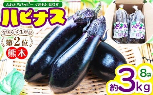 ハピナス 玉名市産 長なす 約3㎏（300ｇ～400ｇ×8袋）