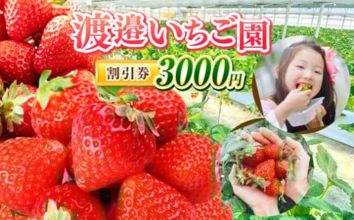 【 2026年 先行予約 】【 千葉県君津市 渡邉いちご園 】 割引券 3000円