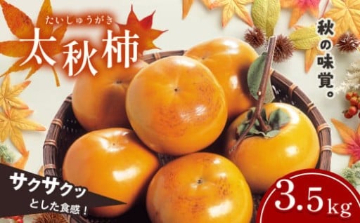 太秋柿 3.5kg 箱入り