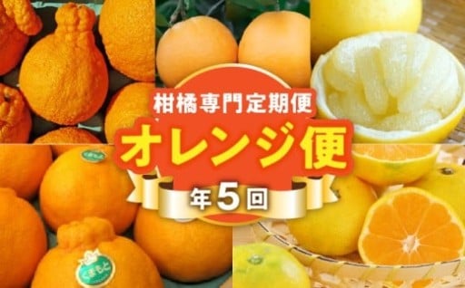 年に5回お届け！【オレンジ便】柑橘大好きさんあつまれ～(*^-^*)