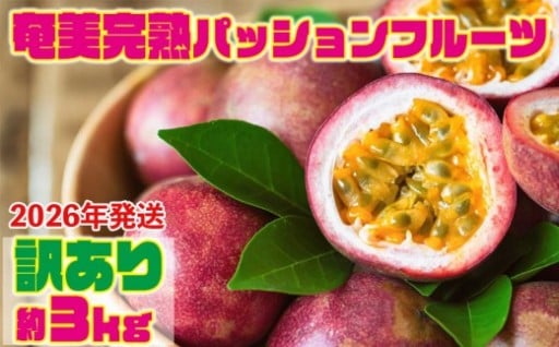 【2026年発送】奄美完熟パッションフルーツ 訳あり（約3kg）