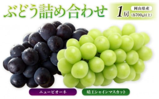 ぶどう 晴王 シャインマスカット 1房＆ニューピオーネ 1房（各700g以上）詰め合わせ 岡山県産