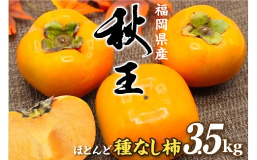 福岡県ブランド　高級柿【秋王】3.5kg