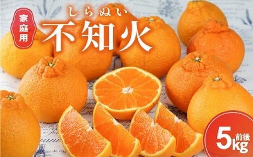 【2026年発送 先行予約品✨】丸安青果の御浜町産不知火5キロ前後(家庭用）