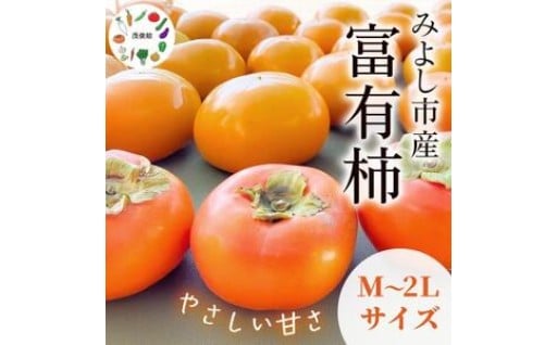 🍁秋の味覚🍁　富有柿　　約6.5kg (約32個)