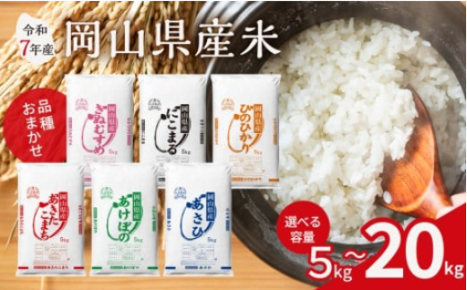 【容量が選べる】【令和7年産】岡山県産米 5kg ～ 20kg（令和7年11月上旬以降発送）🌾📦