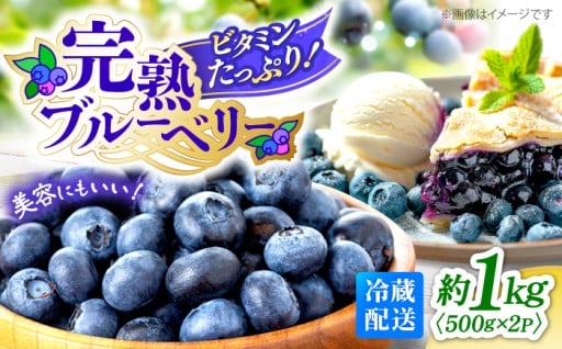 【先行予約】【2026年6月中旬より順次発送】 完熟 ブルーベリー 計1kg（約500g×2パック）