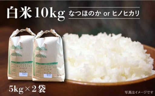 【令和7年産 新米】 白米 （ なつほのか or ヒノヒカリ ） 計10kg （5kg×2袋） 