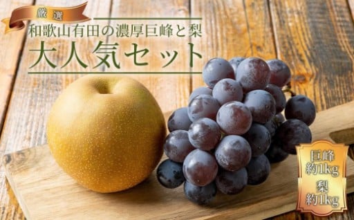 農家直送 和歌山有田の濃厚 巨峰 と 梨 大人気セット【先行予約】