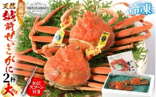 【先行予約】僅かな期間のみ味わえる✨希少な美味🦀