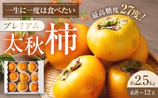 熊本県産 プレミアム 太秋柿 約2.5kg 【2025年10月上旬発送開始】