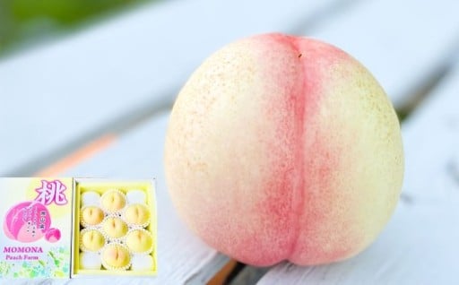 19種類の桃を育てる！ モモナピーチファームの桃 2.0kg（7～9玉）