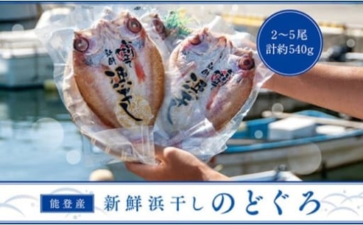 【石川県能登町】【復興支援】 能登産 新鮮浜干しのどぐろ