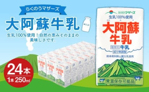 大阿蘇 牛乳 24本 250ml×24本 1ケース 生乳 成分無調整