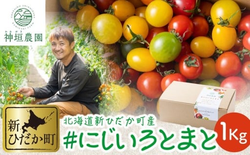 ＜9月10日まで＞ 北海道産 ＃にじいろとまと