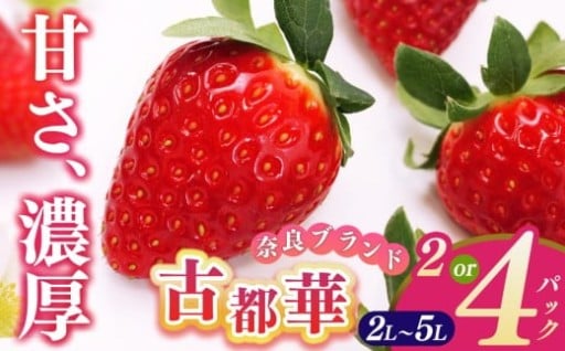 平群の古都華 2L～5Lサイズ （2～4パック 1～2ケース） 