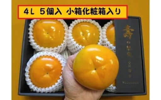 【富山県南砺市（なんとし）】甘柿　太秋柿4L×5個入（1.55kg以上） 化粧小箱入り