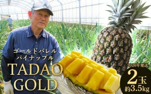 TADAO GOLD　2玉　約3.5kg（多冠芽含む）【ゴールドバレル】2026年発送