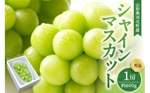 【令和7年産】 ぶどう シャインマスカット 1房入り（約600g前後） 秀品 山形県河北町産 【山形eLab】