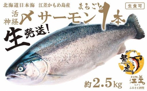 水揚げ当日に「1本まるごと生発送！」