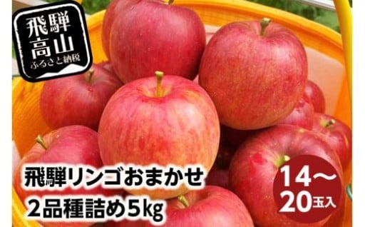 ≪9月中旬～順次発送≫ 飛騨リンゴ 5kg（14～20玉入り）おまかせ２品種 食べ比べ