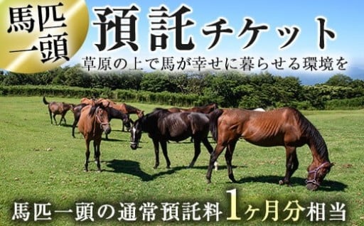 預託チケット！馬匹一頭の通常預託料1ヶ月分に相当するチケット(1枚)【NPO法人ホーストラスト】