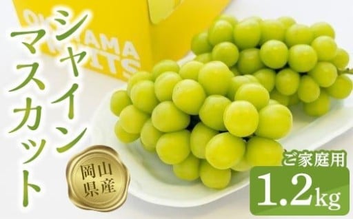 ご家庭用シャインマスカット1.2kg（2～3房）【数量限定300セット】