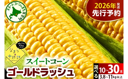 🌽🌽2026年産のとうもろこし先行予約開始しました🌽🌽