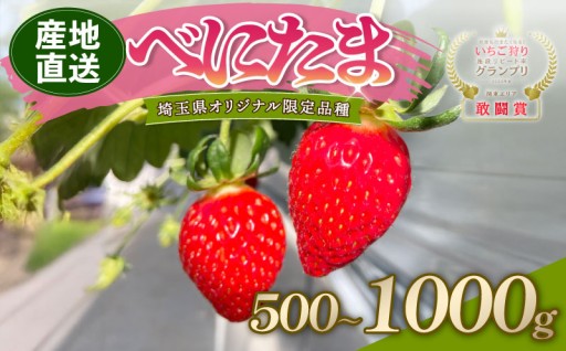 【予約受付】べにたま 埼玉県限定品種！！！