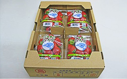 先行予受付中！小豆島のいちご（女峰）4パック