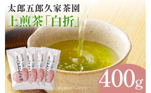 ほっと一息🍵 上煎茶「白折」のご紹介です！✨