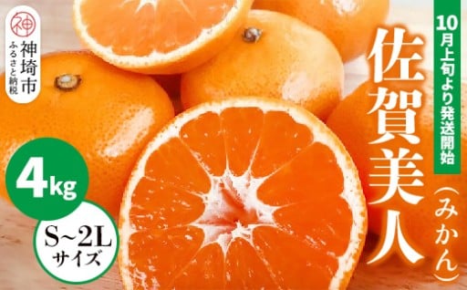 さがのブランドみかん「佐賀美人」🍊