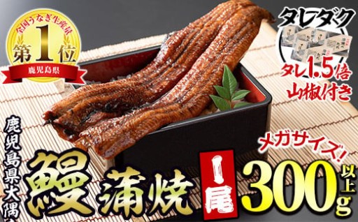 東串良町のうなぎ蒲焼(無頭)＜メガサイズ＞(1尾・300g以上・タレ、山椒×3個※通常の1.5倍付)